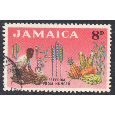 JAMAICA SCOTT 202