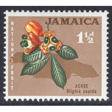 JAMAICA SCOTT 218