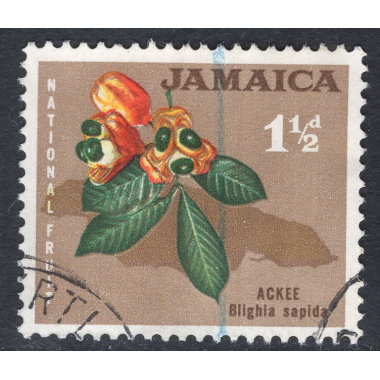 JAMAICA SCOTT 218