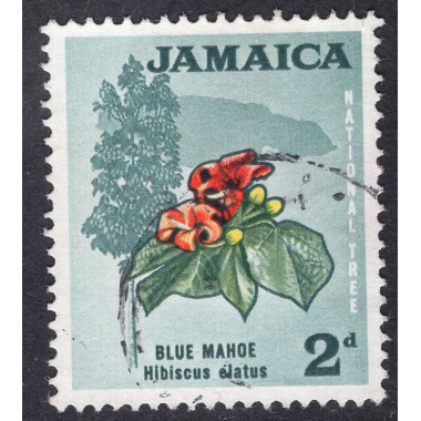 JAMAICA SCOTT 219