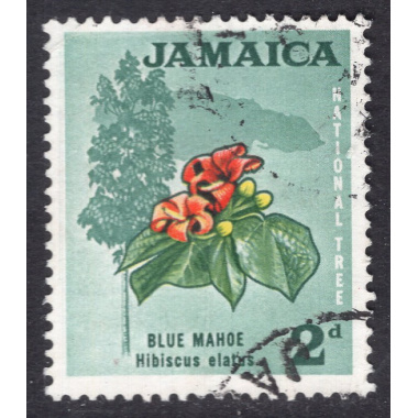 JAMAICA SCOTT 219