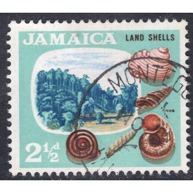JAMAICA SCOTT 220