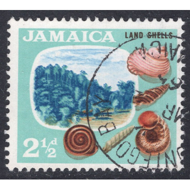 JAMAICA SCOTT 220
