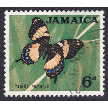 JAMAICA SCOTT 223