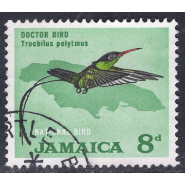 JAMAICA SCOTT 224
