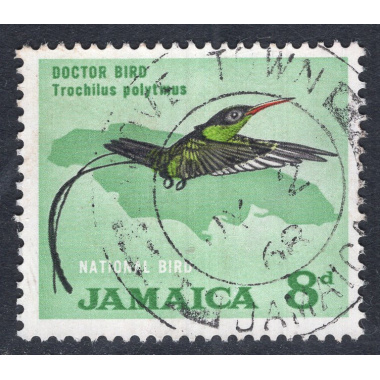 JAMAICA SCOTT 224