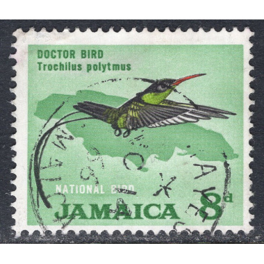 JAMAICA SCOTT 224