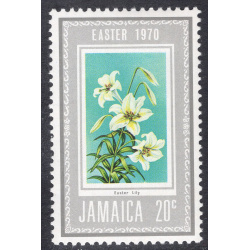JAMAICA SCOTT 304