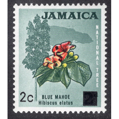 JAMAICA SCOTT 305