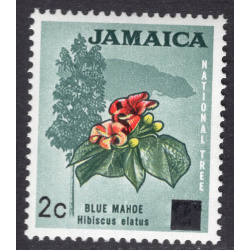 JAMAICA SCOTT 305