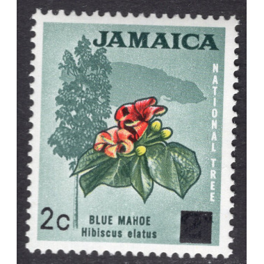 JAMAICA SCOTT 305