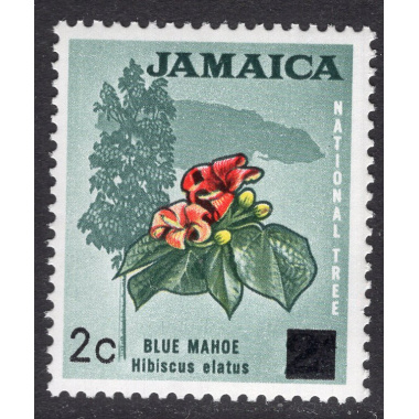 JAMAICA SCOTT 305