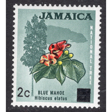 JAMAICA SCOTT 305