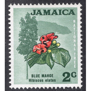 JAMAICA SCOTT 307