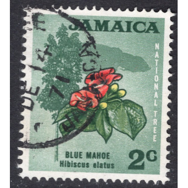 JAMAICA SCOTT 307