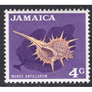 JAMAICA SCOTT 309