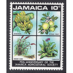 JAMAICA SCOTT 323
