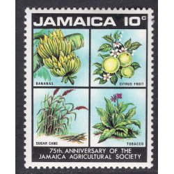JAMAICA SCOTT 323