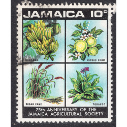 JAMAICA SCOTT 323