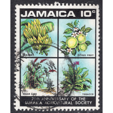 JAMAICA SCOTT 323