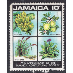 JAMAICA SCOTT 323