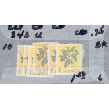 JAMAICA SCOTT 343
