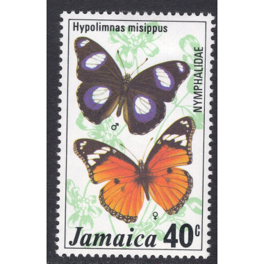 JAMAICA SCOTT 426
