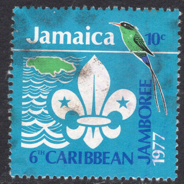 JAMAICA SCOTT 427
