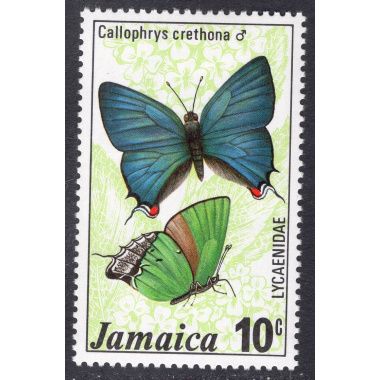 JAMAICA SCOTT 435