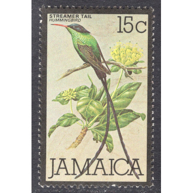 JAMAICA SCOTT 475