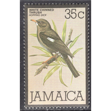 JAMAICA SCOTT 476