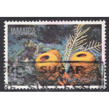 JAMAICA SCOTT 496