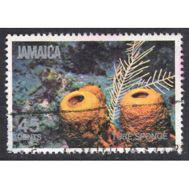 JAMAICA SCOTT 496
