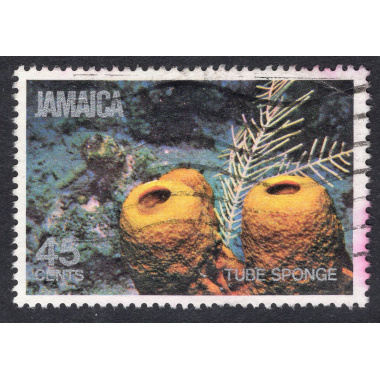 JAMAICA SCOTT 496