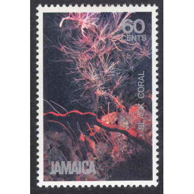 JAMAICA SCOTT 497
