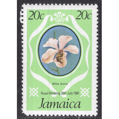 JAMAICA SCOTT 500