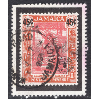 JAMAICA SCOTT 509