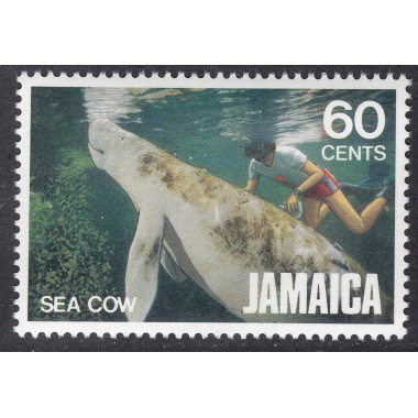 JAMAICA SCOTT 525