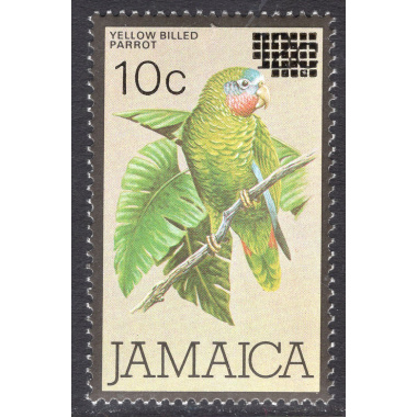 JAMAICA SCOTT 582