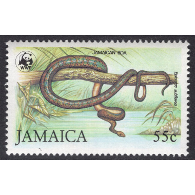 JAMAICA SCOTT 592