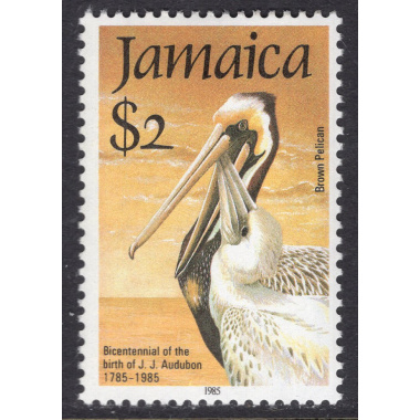 JAMAICA SCOTT 597