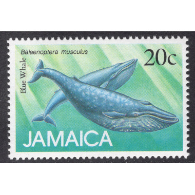 JAMAICA SCOTT 683
