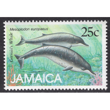 JAMAICA SCOTT 684