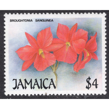 JAMAICA SCOTT 709