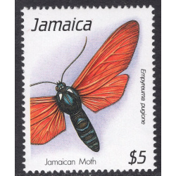 JAMAICA SCOTT 728