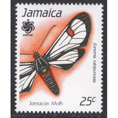 JAMAICA SCOTT 729