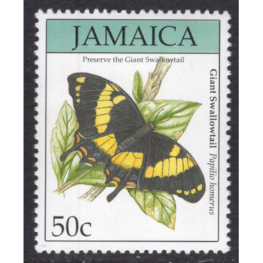 JAMAICA SCOTT 810