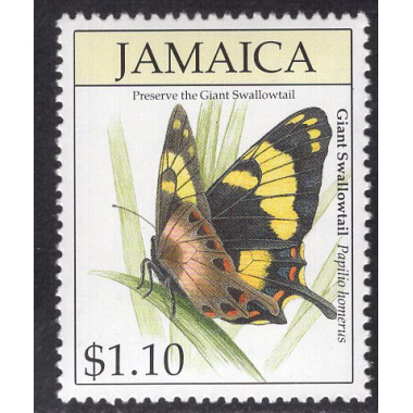 JAMAICA SCOTT 811