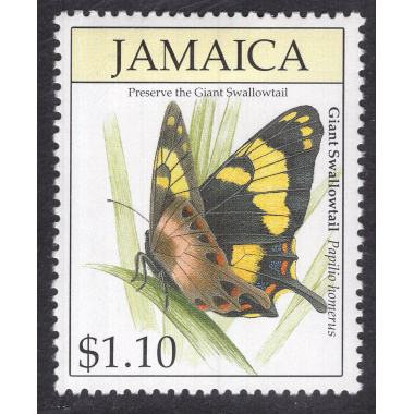 JAMAICA SCOTT 811