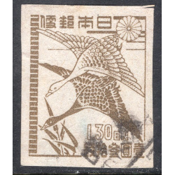 JAPAN SCOTT 365